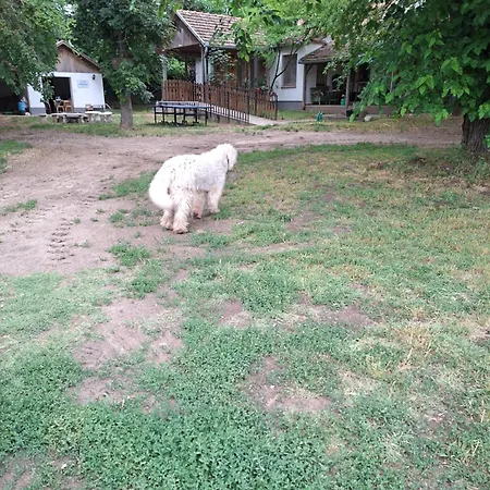 Pap Tanya Vendeghaz 아파트 *
